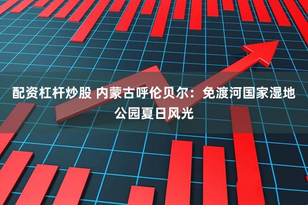 配资杠杆炒股 内蒙古呼伦贝尔：免渡河国家湿地公园夏日风光